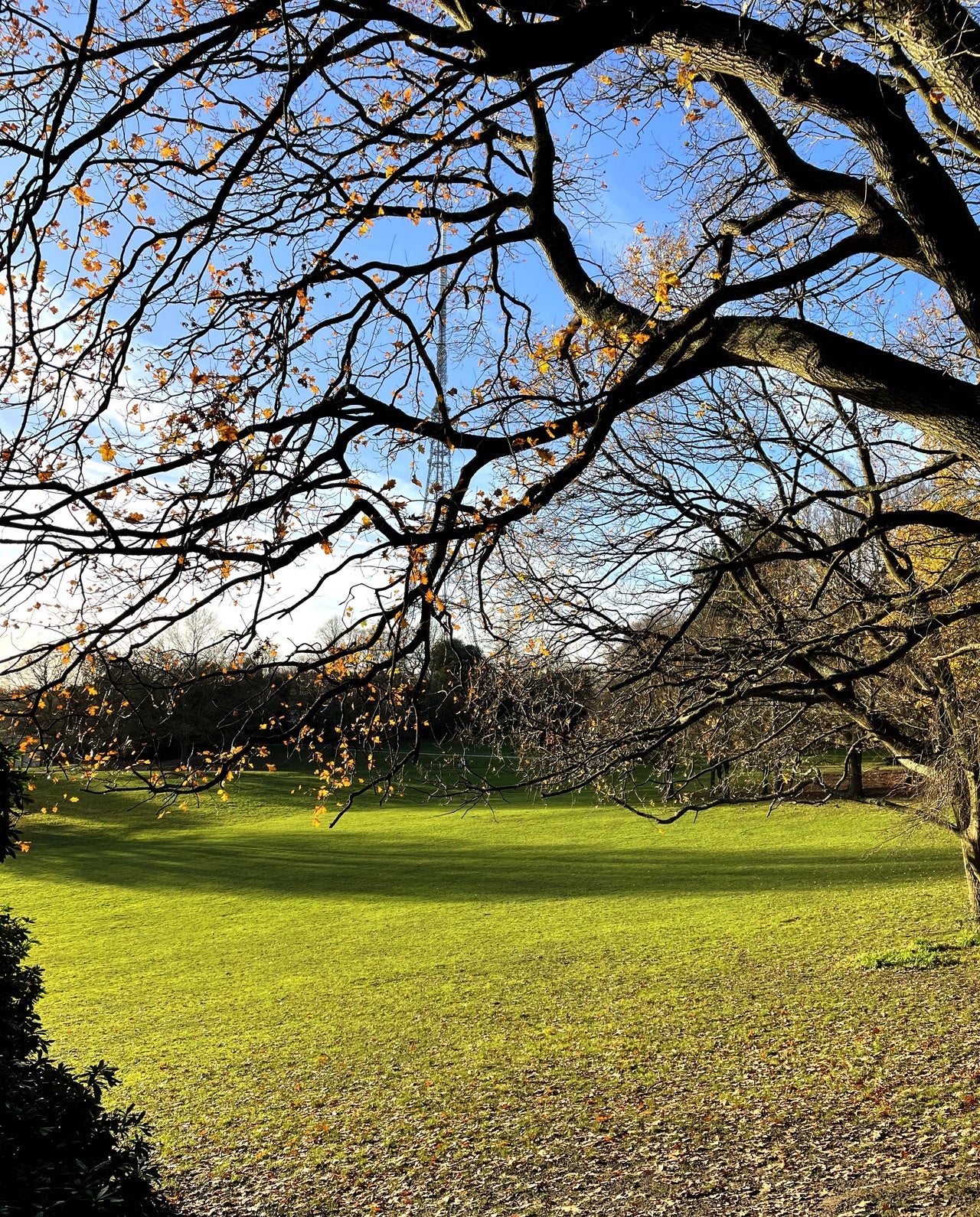 Josie Shenoy designer of London Town at Crystal Palace | Hygge & West