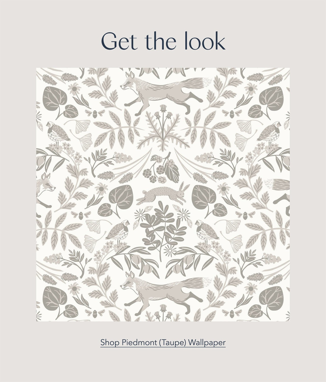 Get the look: Shop Piedmont (Taupe) Wallpaper