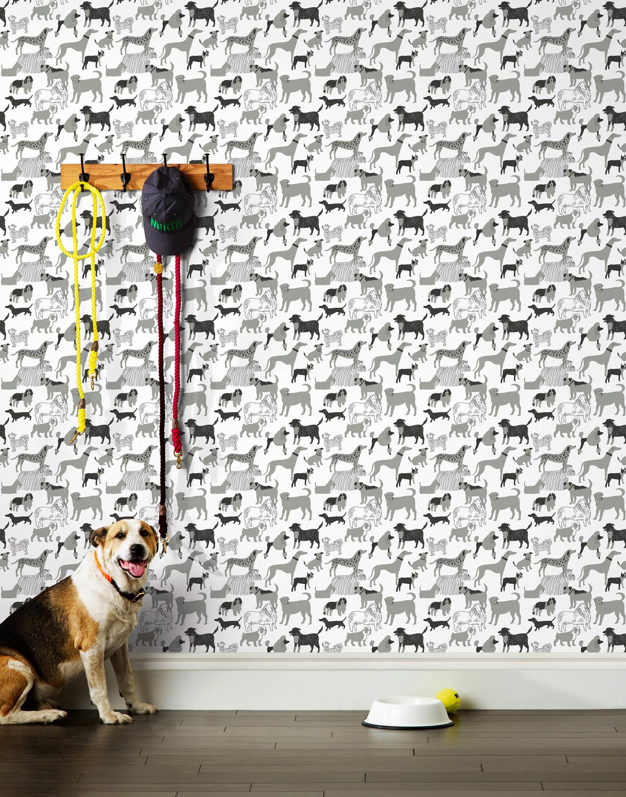 Dog Park (Charcoal) Wallpaper | H&W Gives Back | Julia Rothman + Hygge & West