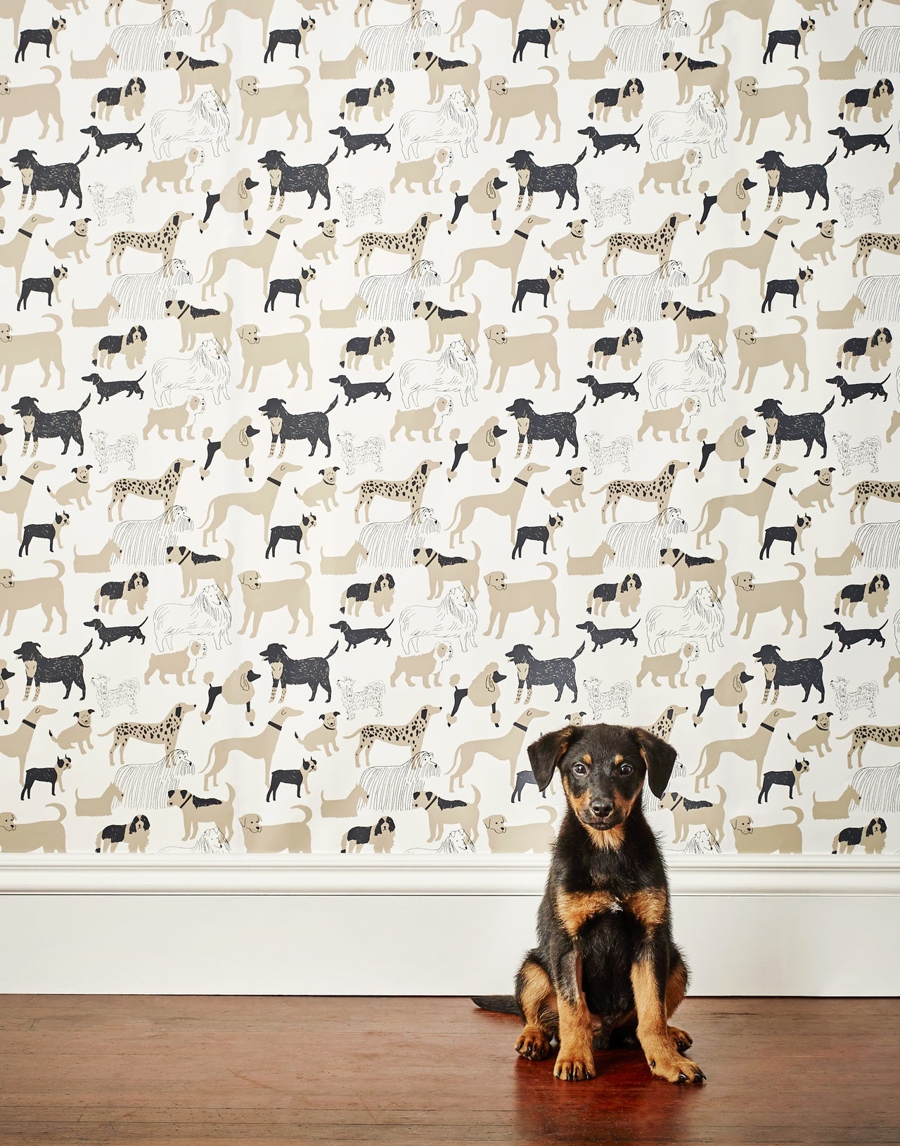 Dog Park Wallpaper Taupe | H&W Gives Back | Julia Rothman + Hygge & West