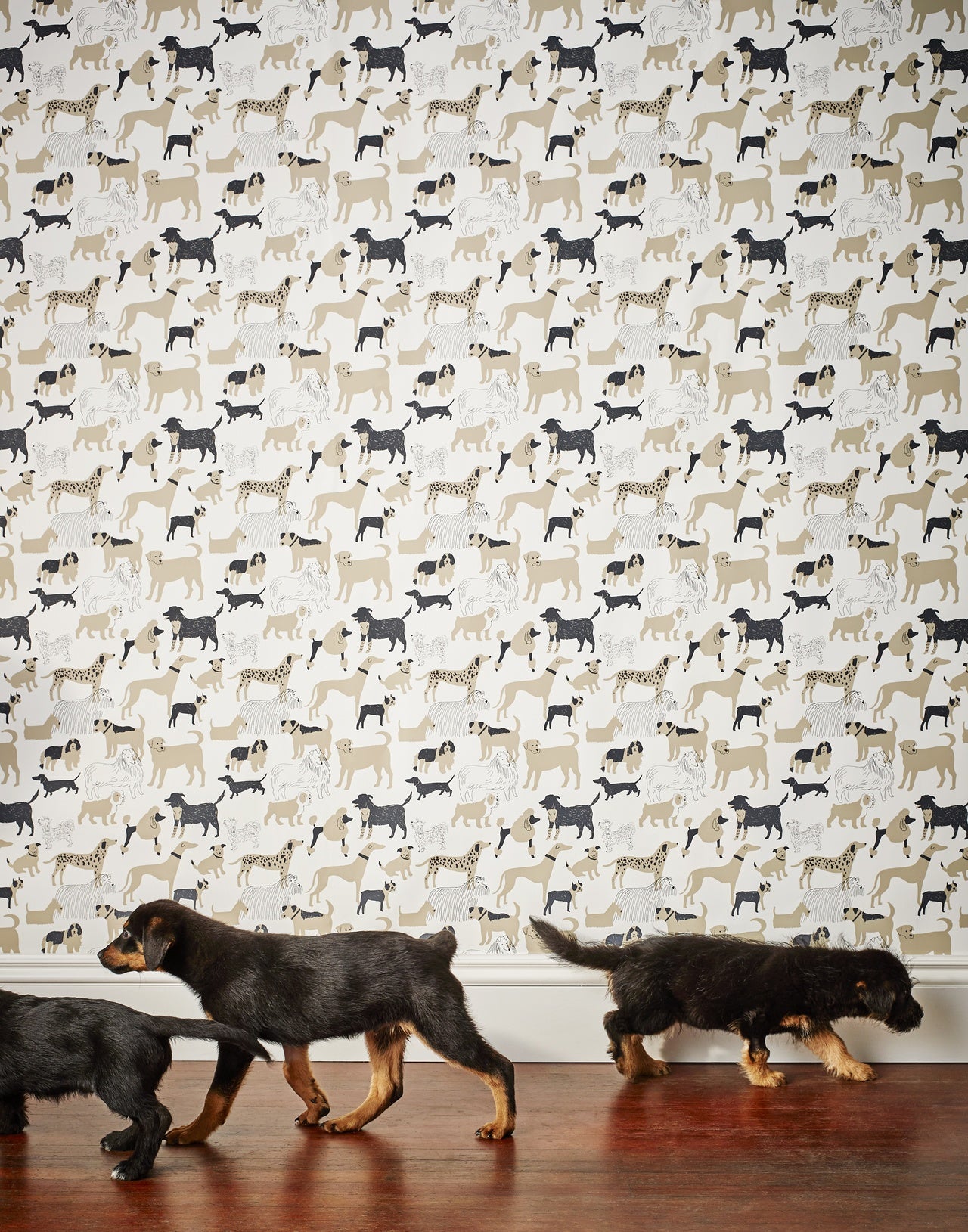 Dog Park (Taupe) Wallpaper | H&W Gives Back | Julia Rothman + Hygge & West